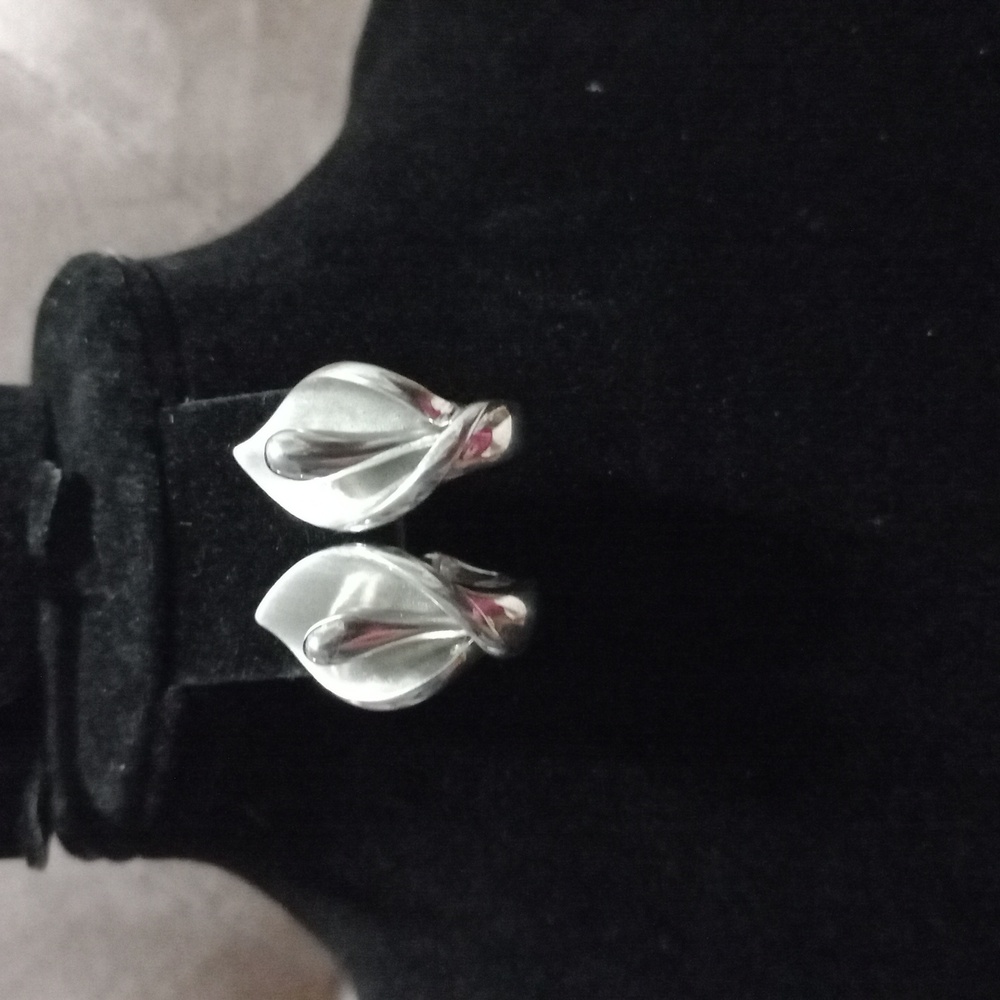 Silver Teardrop Earrings